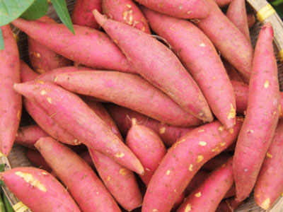 红薯高产施肥方法,风光农业水溶肥