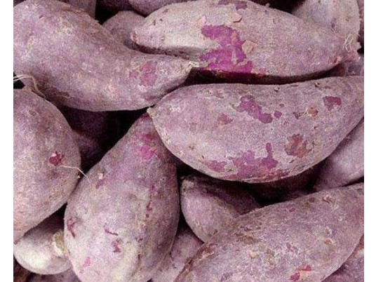 紫薯该如何施肥好,风光农业水溶肥